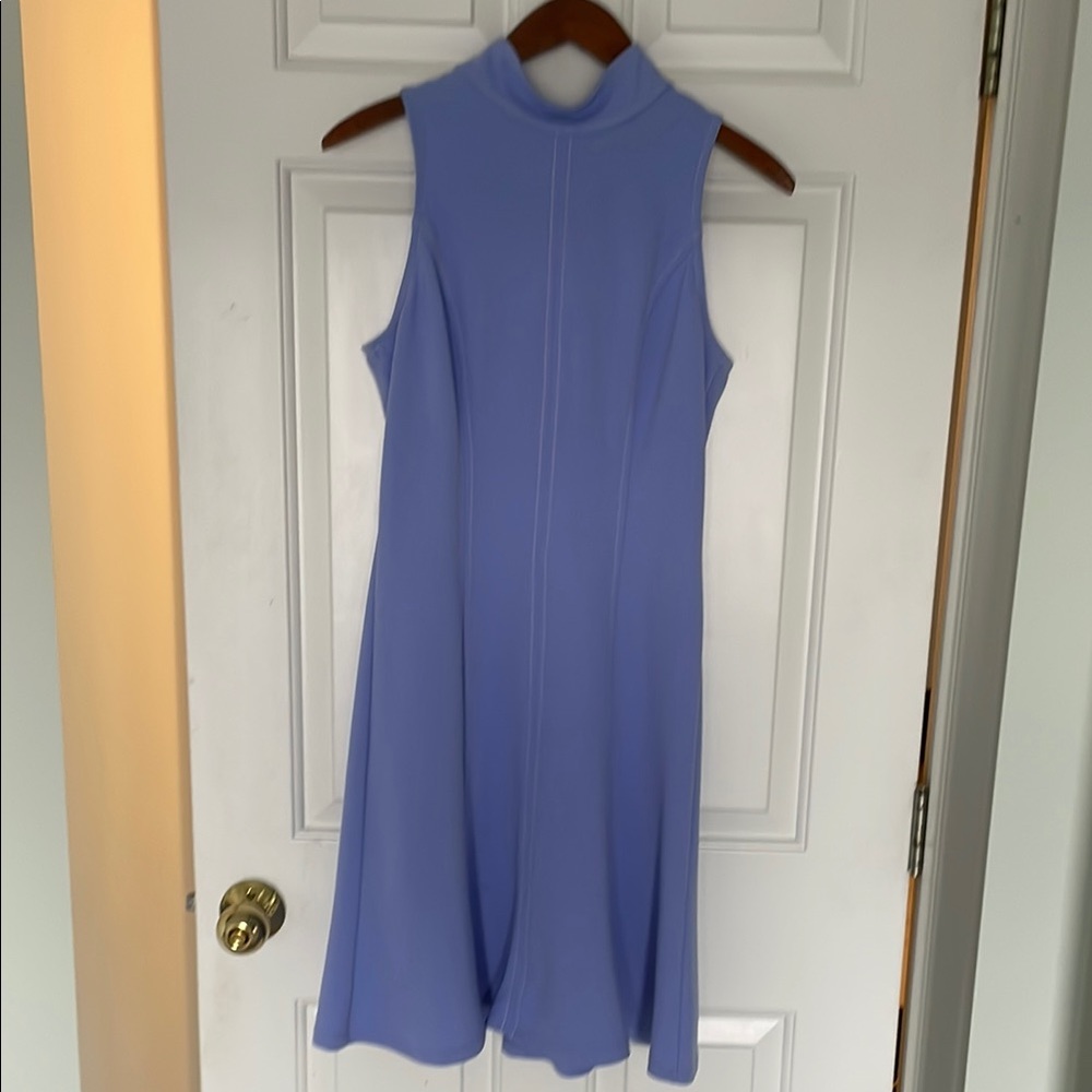 Donna Morgan Sleeveless Blue Dress
